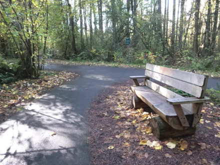 Bench off paved trail on natural surface — junction with directional signage Bench off paved trail on natural surface — junction with directional signage